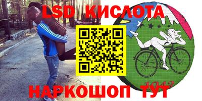 индика Кулебаки
