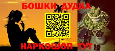 индика Кулебаки