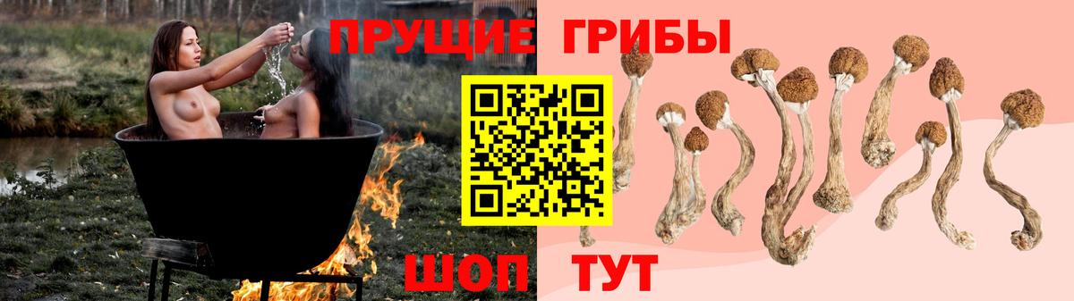 где купить   Вход с VPN  Кимовск  Галлюциногенные грибы ЛСД 