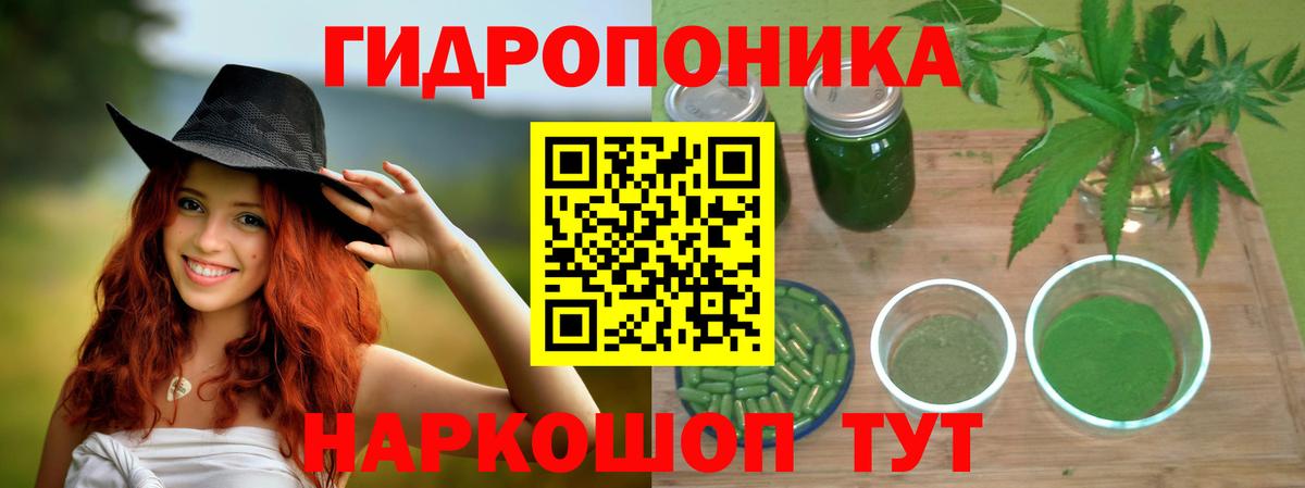 Марихуана конопля Кимовск